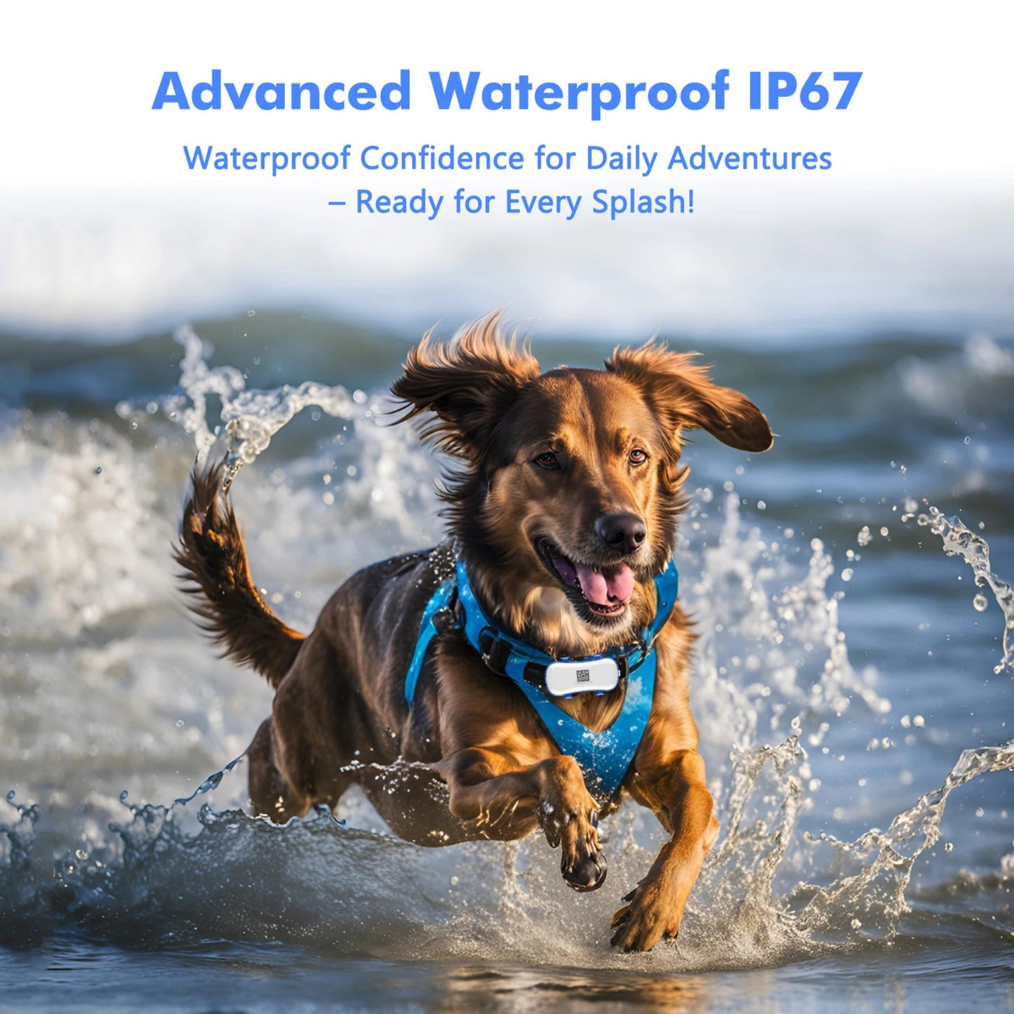GPS Tracker for Pets